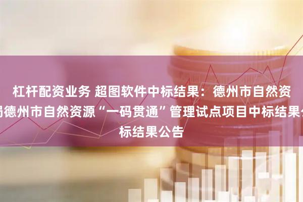 杠杆配资业务 超图软件中标结果：德州市自然资源局德州市自然资源“一码贯通”管理试点项目中标结果公告