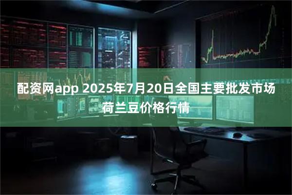 配资网app 2025年7月20日全国主要批发市场荷兰豆价格行情
