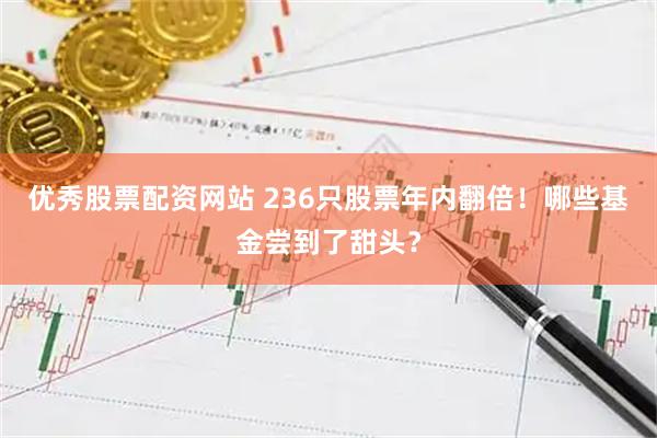 优秀股票配资网站 236只股票年内翻倍！哪些基金尝到了甜头？